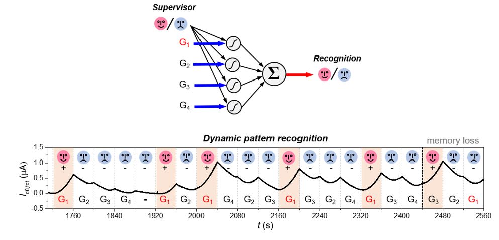 1590719476698045317.jpg 4.jpg