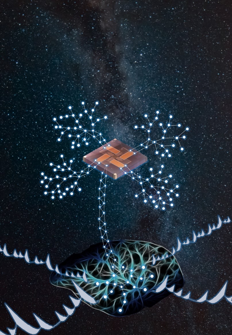 1590718094339066416.jpg 12.jpg